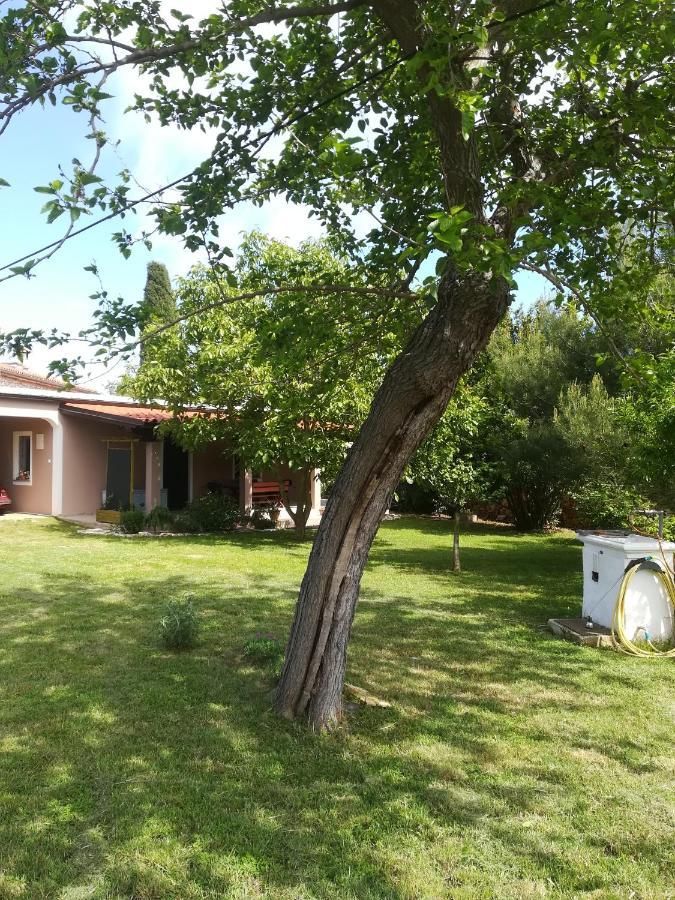 Apartman "Almond House 2" Pula Dış mekan fotoğraf