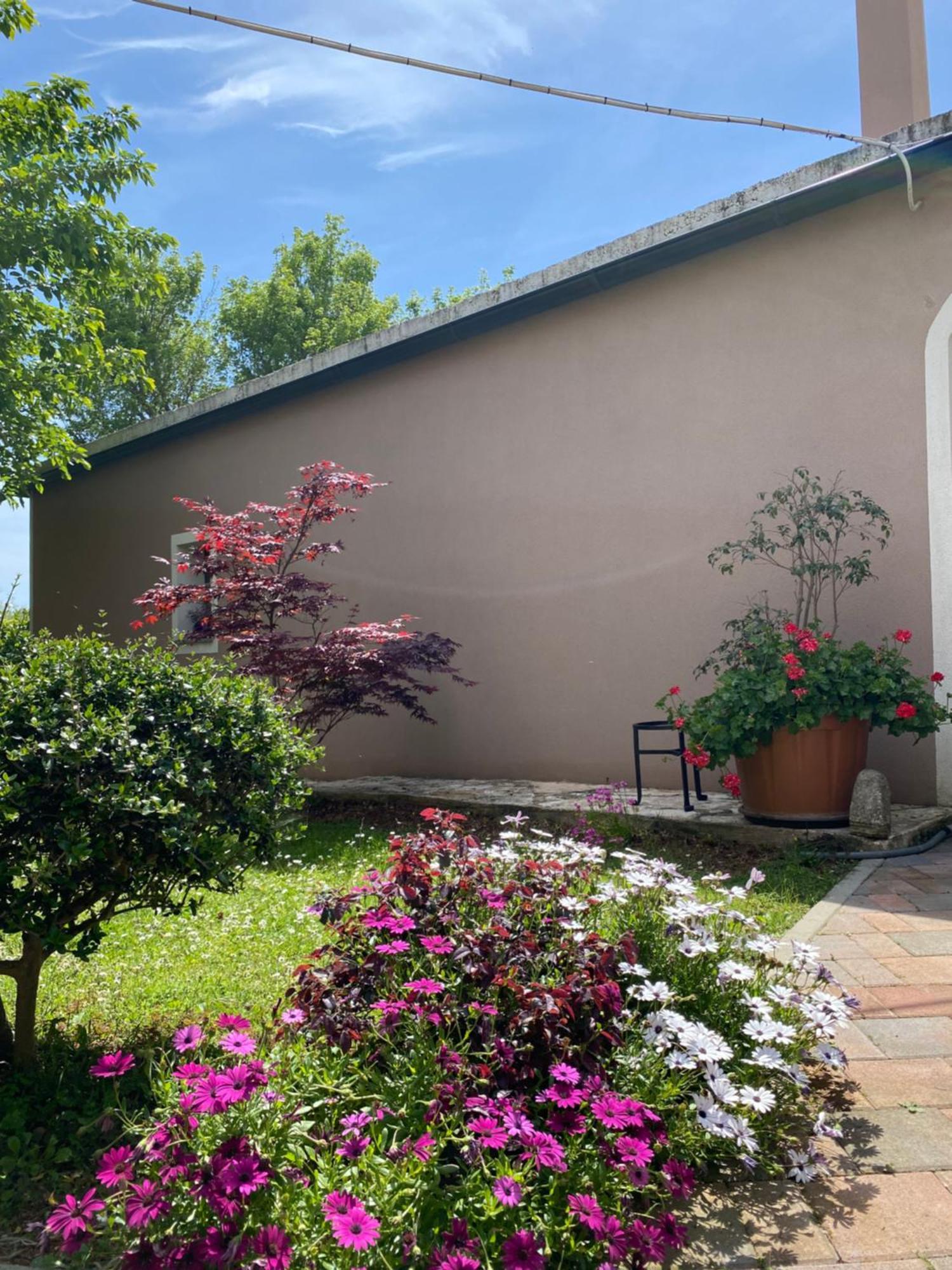 Apartman "Almond House 2" Pula Dış mekan fotoğraf